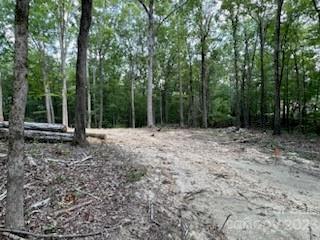 9602 Simpson Road Waxhaw, NC 28173 - Photo 8 of 10 Gallery Image 8