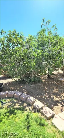 $2,500 | 5465 West Meranto Avenue, Las Vegas, NV 89139