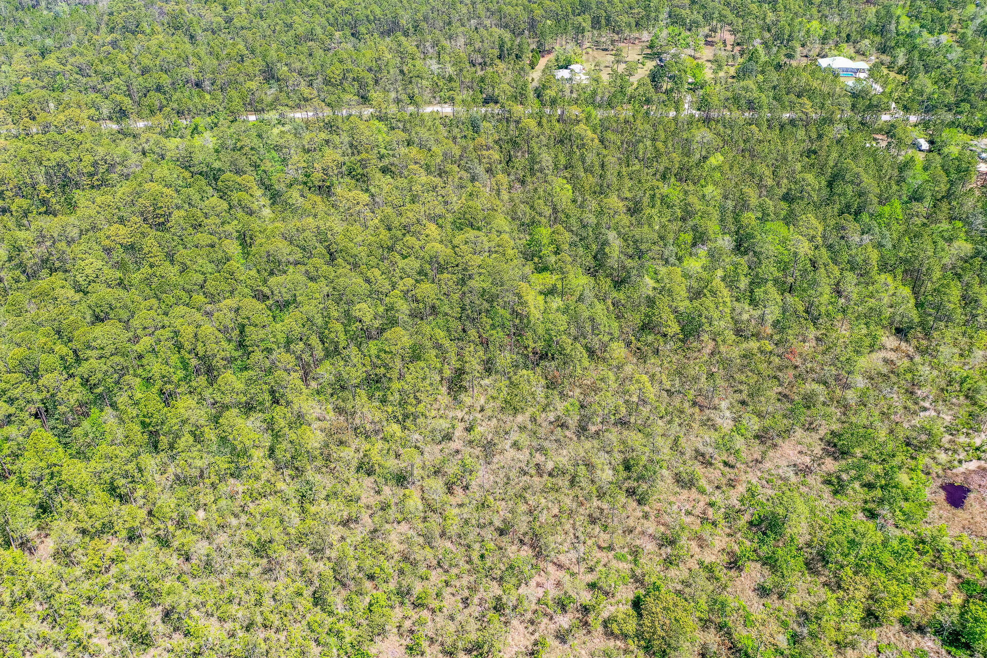 7.25-acres Jolly Bay Road Freeport, FL 32439 - Photo 11 of 22 Jolly Bay Rd Freeport FL 32439 USA-012-0
