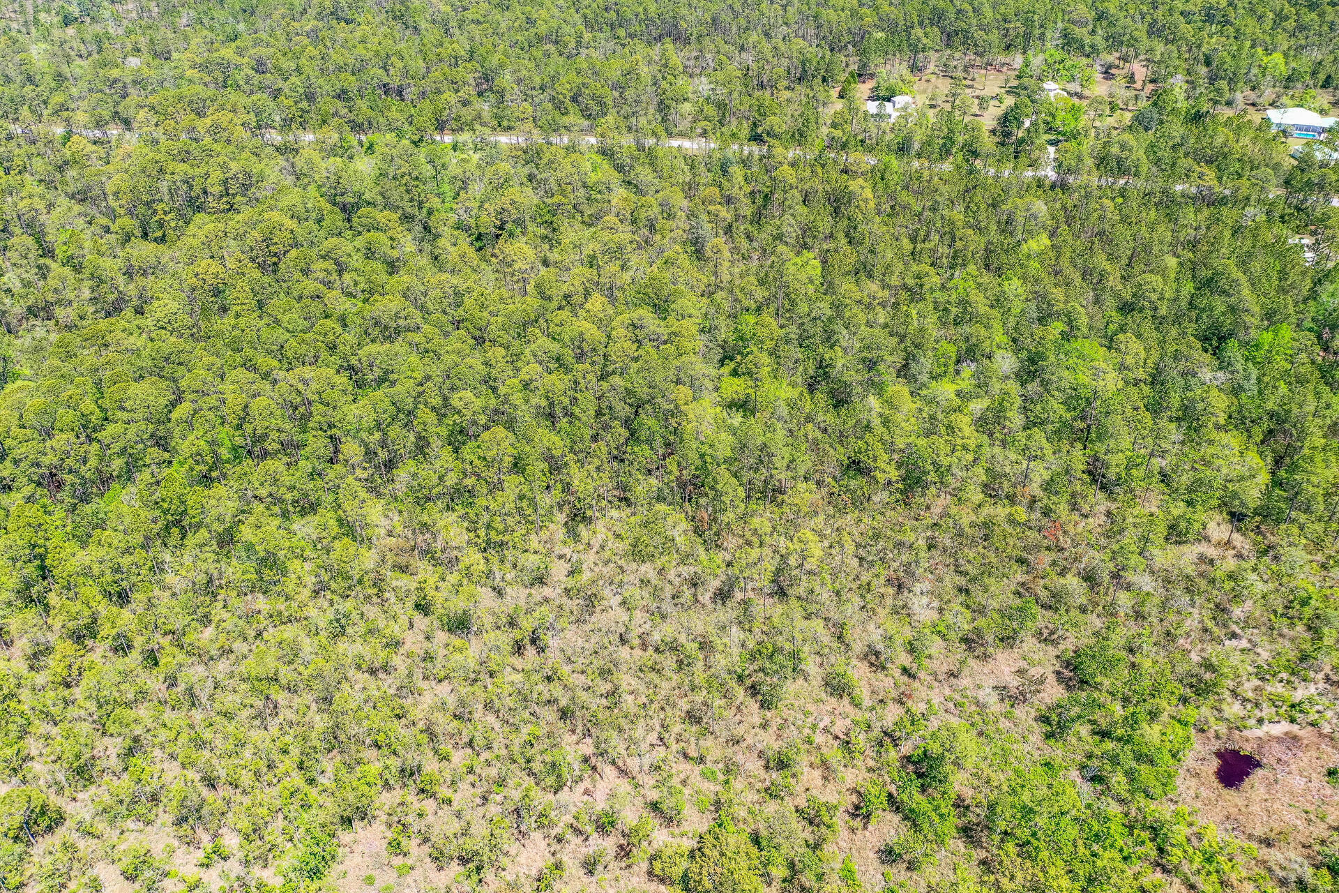 7.25-acres Jolly Bay Road Freeport, FL 32439 - Photo 10 of 22 Jolly Bay Rd Freeport FL 32439 USA-011-0