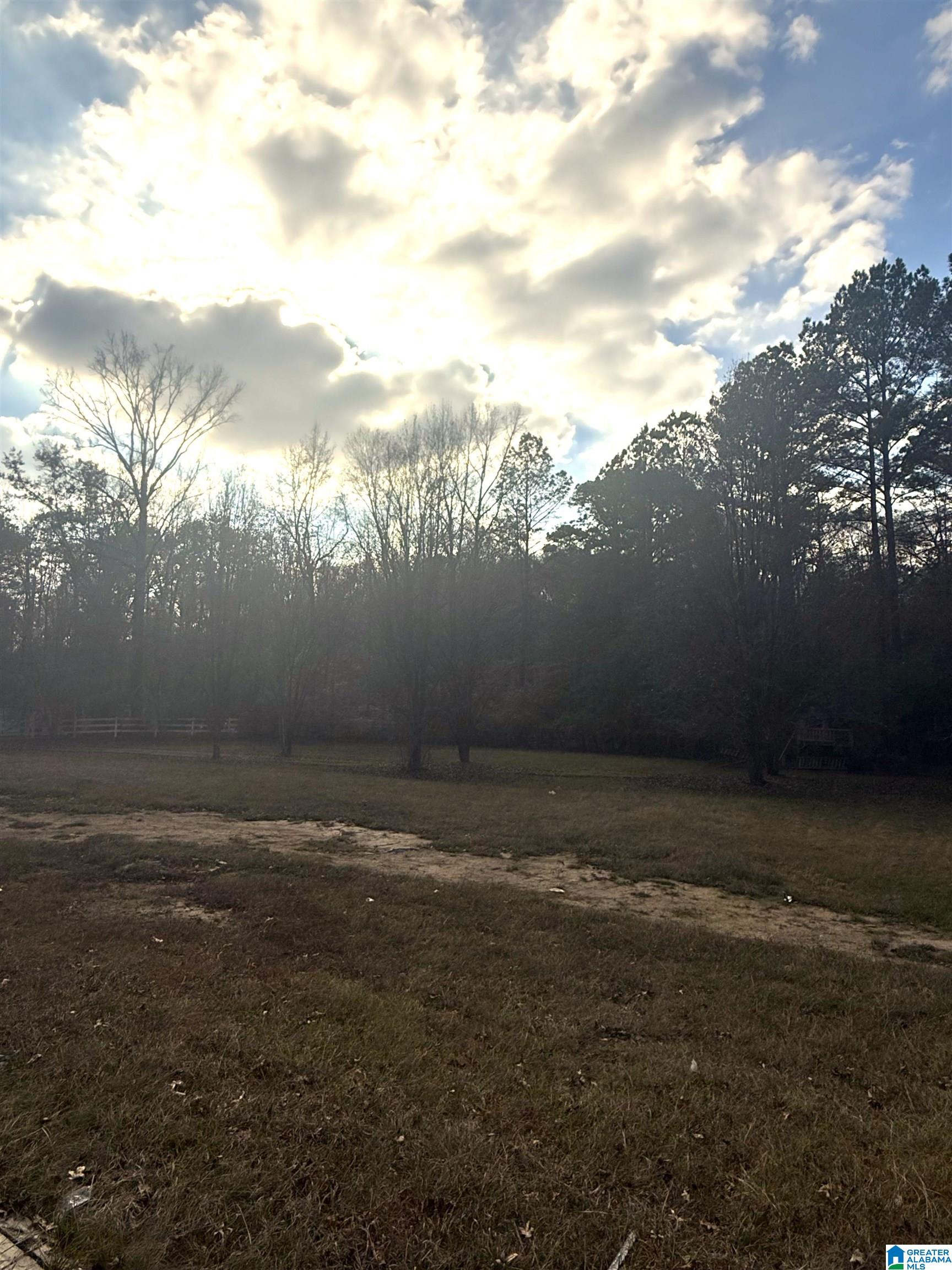 225 Highway 332 Pelham Al Pelham, AL 35124 - Photo 4 of 5
