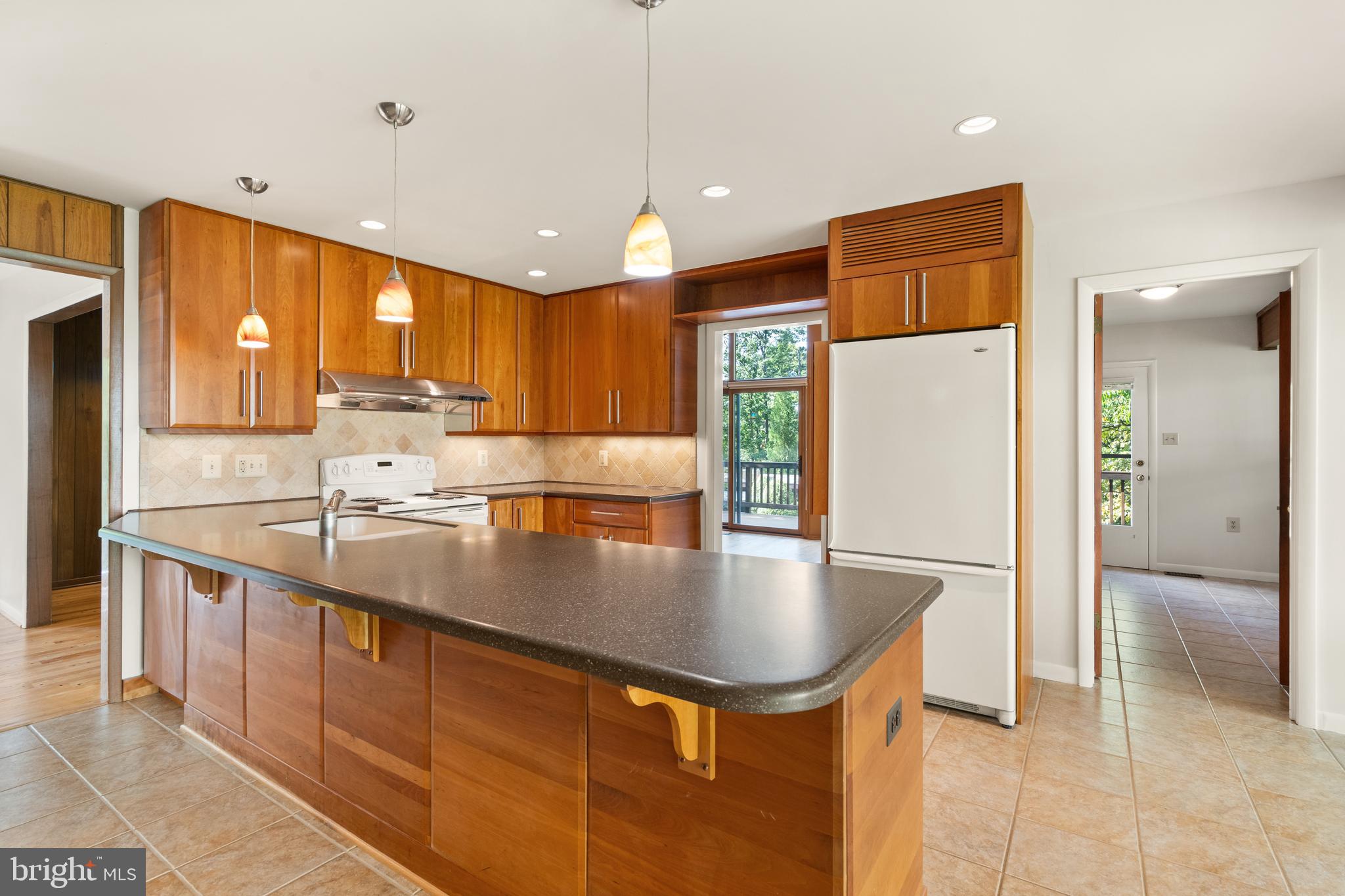 11233 South Shore Road Reston, VA 20190 - Photo 17 of 44 Kitchen with Corian Countertops