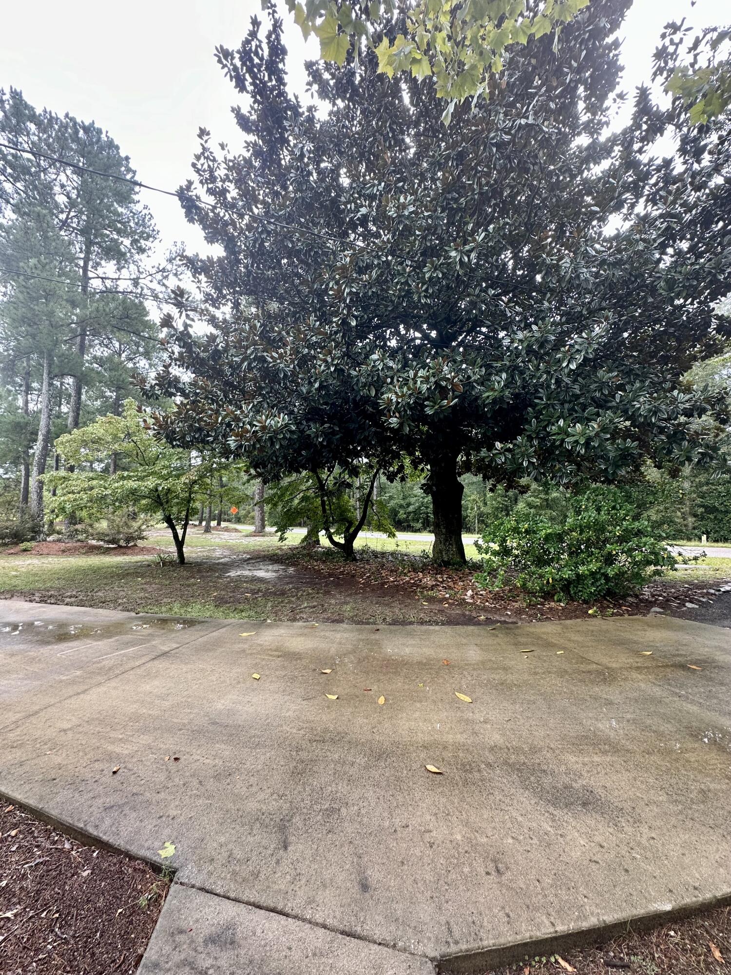 1245 Windy Wood Road Lexington, SC 29073 - Photo 63 of 63