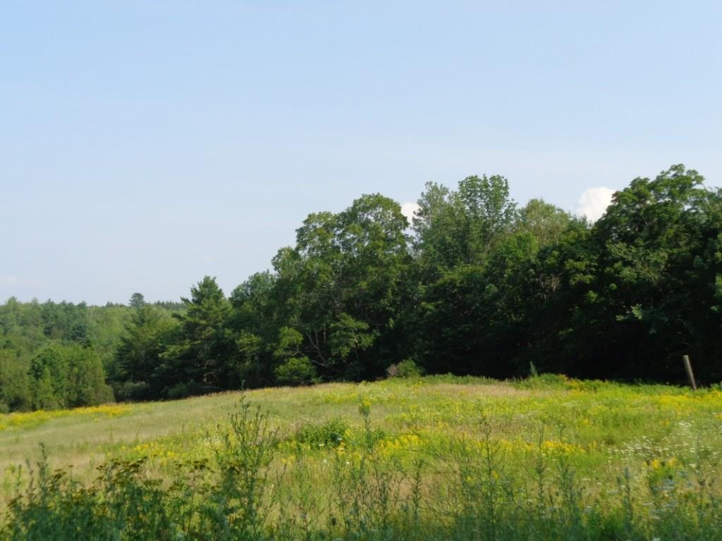 Field