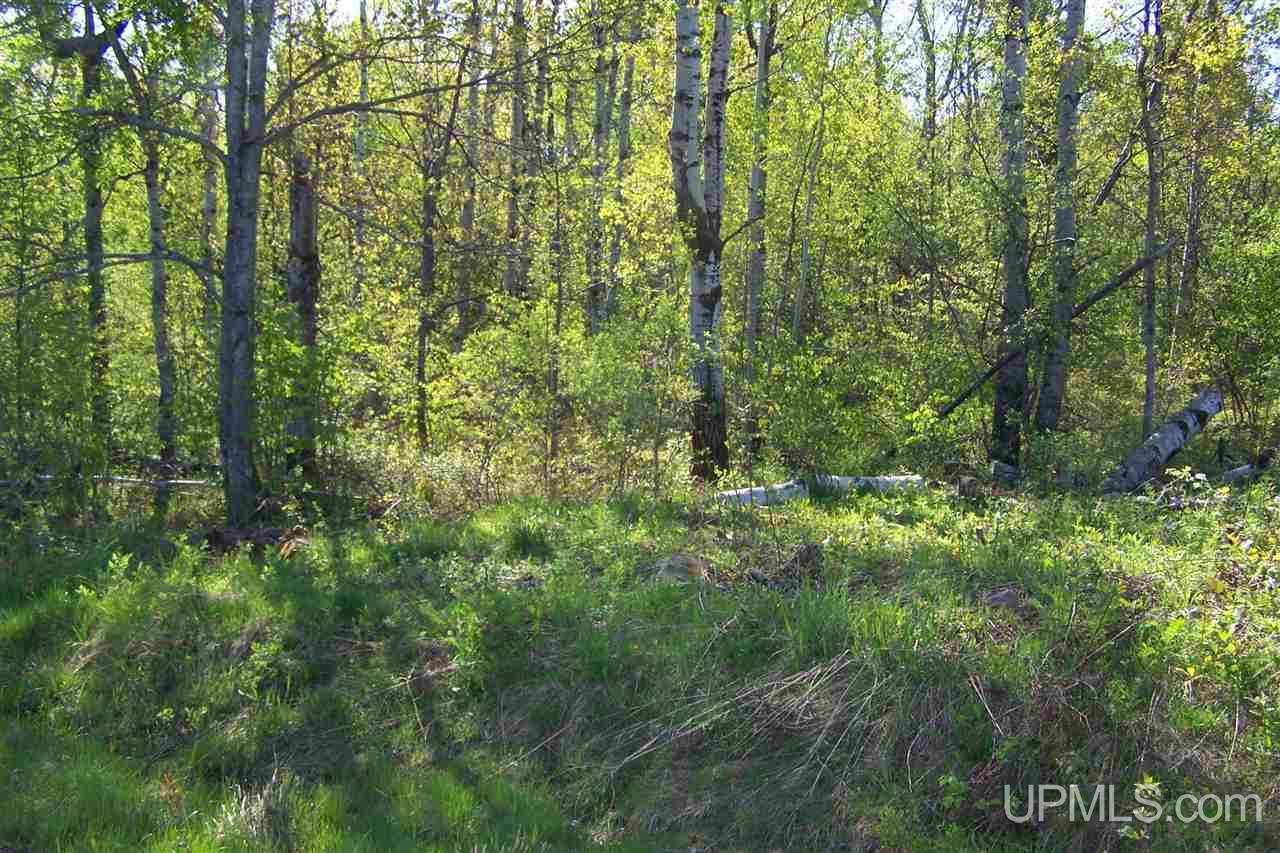 Tbd County C Hurley, WI 54534 - Photo 4 of 6