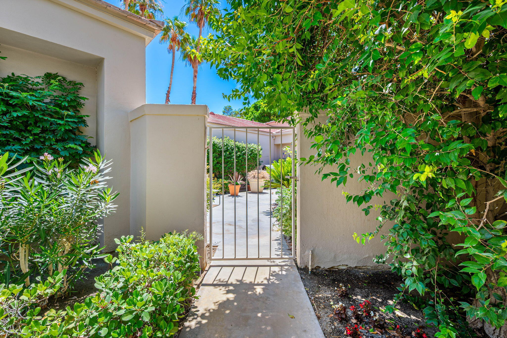 80601 Oak-Tree La Quinta, CA 92253 - Photo 2 of 64 a backyard of a house with lots of green space