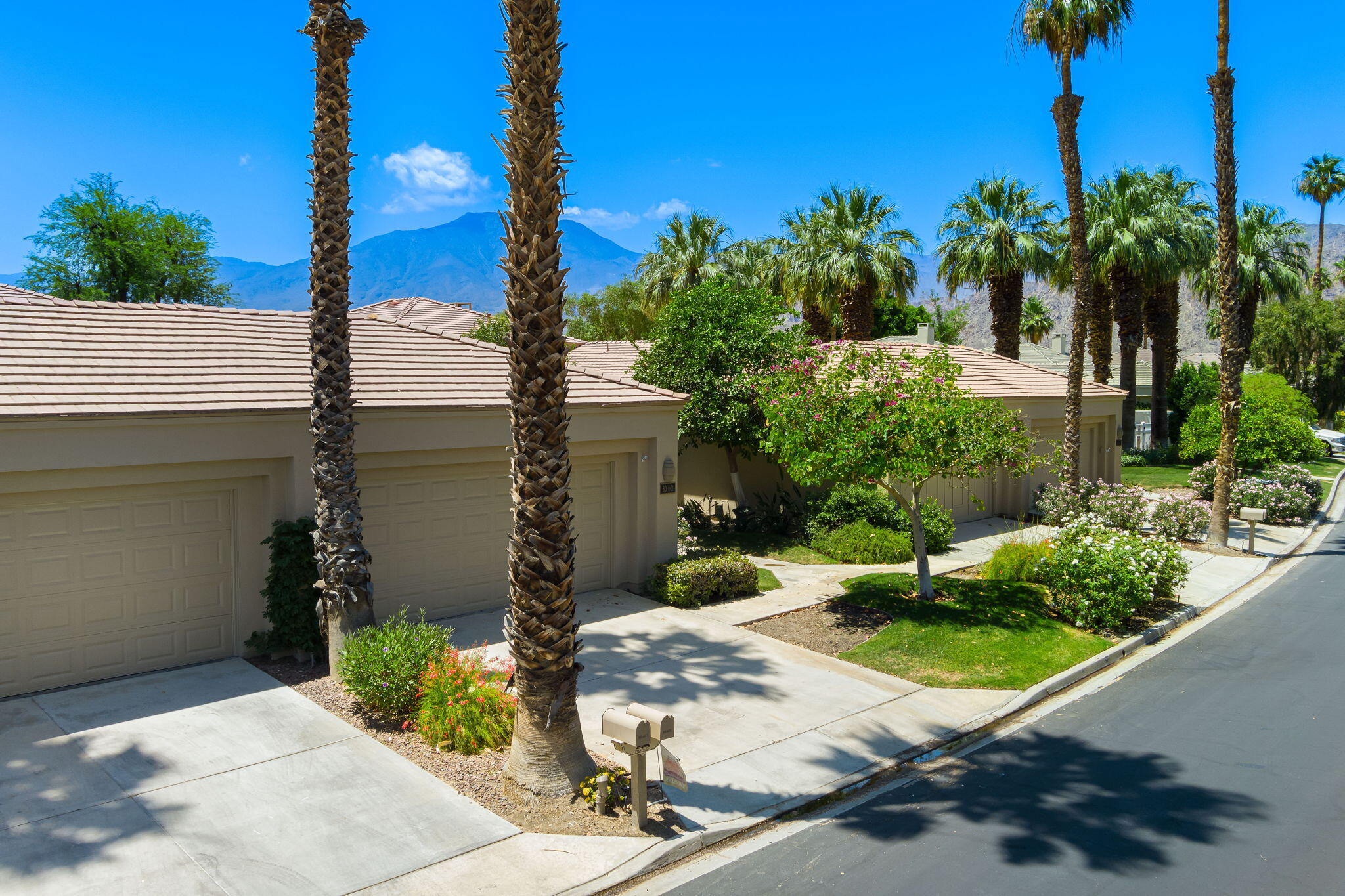 80601 Oak-Tree La Quinta, CA 92253 - Photo 42 of 64 a view of a street with potted plants