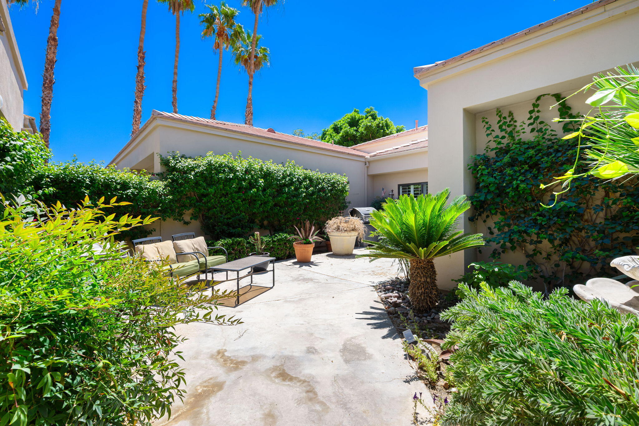 80601 Oak-Tree La Quinta, CA 92253 - Photo 9 of 64 a view of a backyard with plants and a patio
