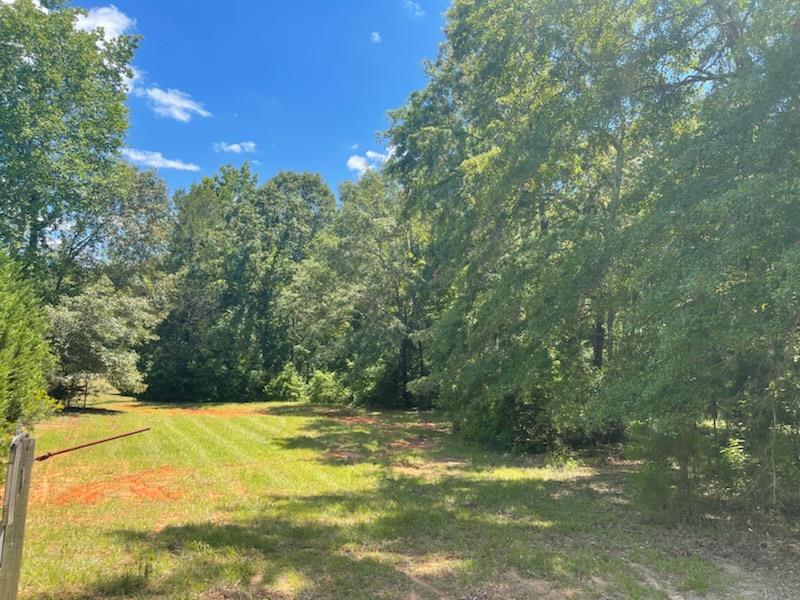 1144 Pole Bridge Road Pine Mountain, GA 31822 - Photo 12 of 13