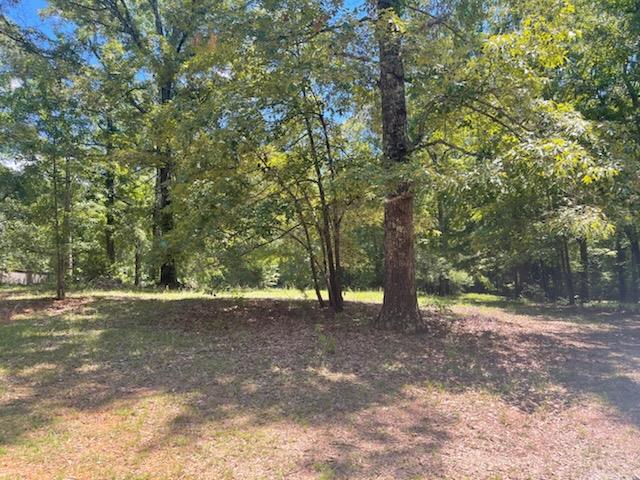 1144 Pole Bridge Road Pine Mountain, GA 31822 - Photo 13 of 13