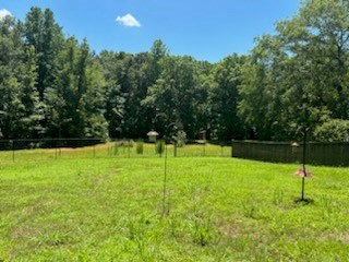 1144 Pole Bridge Road Pine Mountain, GA 31822 - Photo 10 of 13