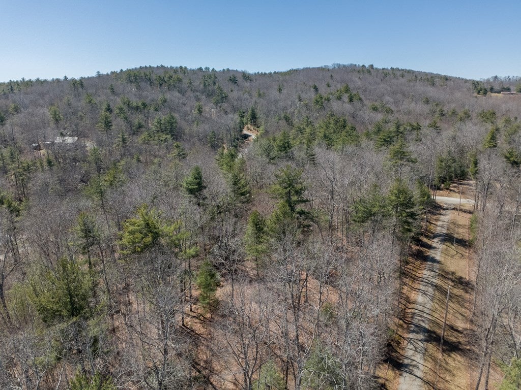 Lot 12 Ridge Line Trail, Unit 12 Independence, VA 24348 - Photo 32 of 66 Gallery Image 32