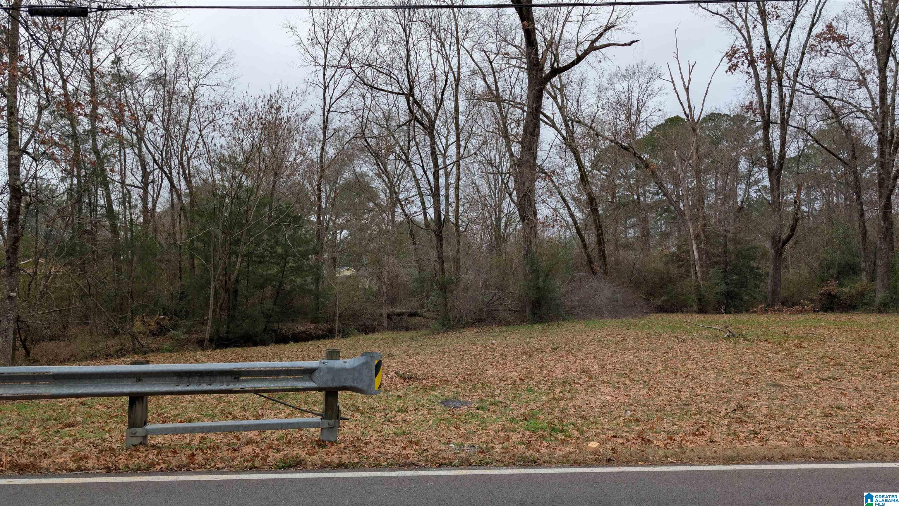 2210 20th Street, Unit 1 Calera, AL 35040 - Photo 4 of 4
