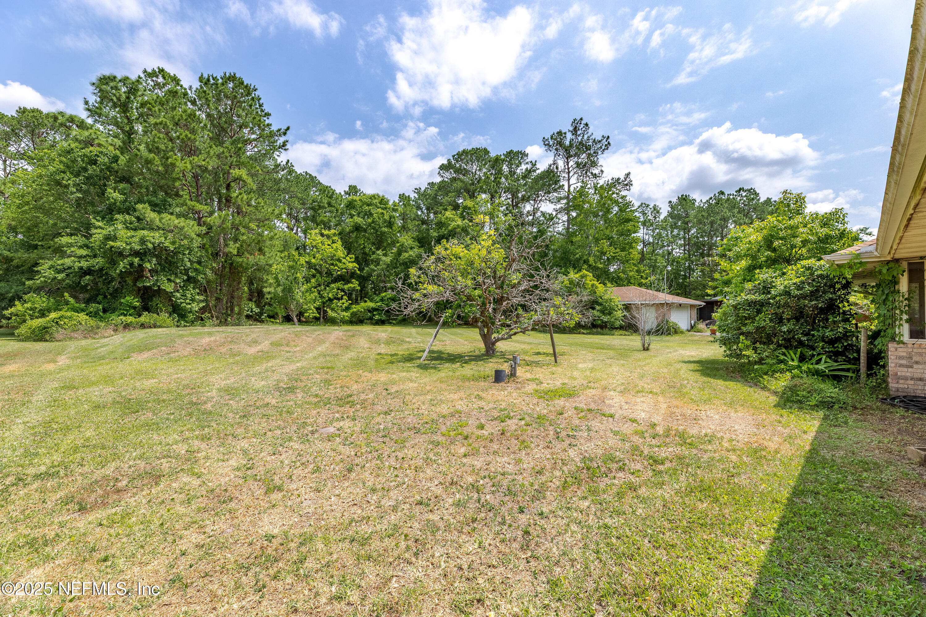 2877 Percy Road Jacksonville, FL 32218 - Photo 8 of 45 Back Yard 1