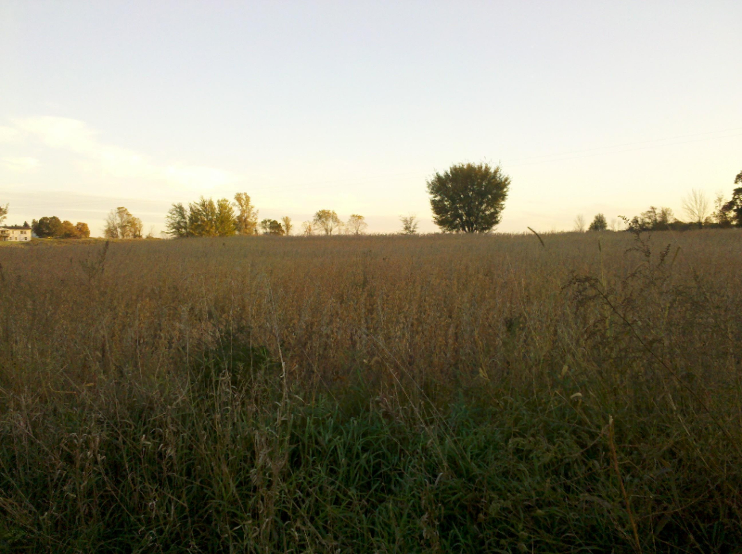 sisson_rd_looking_south