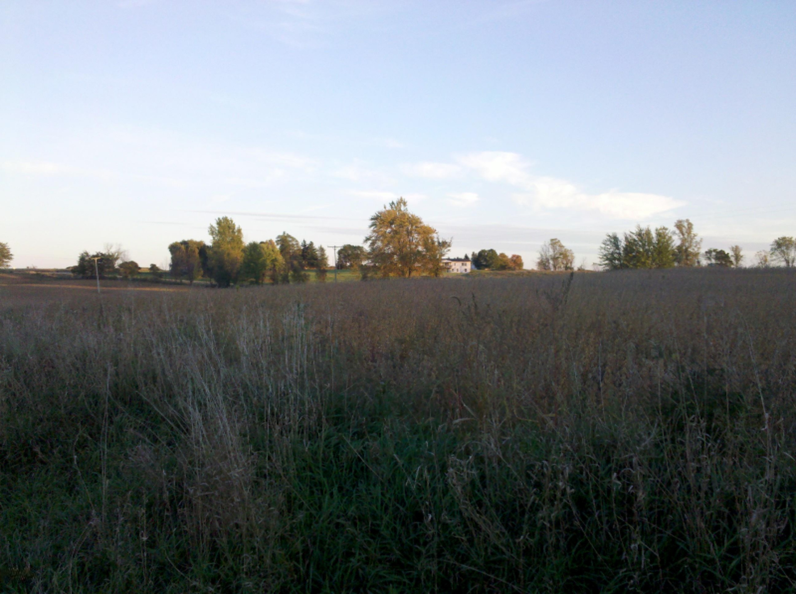 sisson_rd_looking_south-east