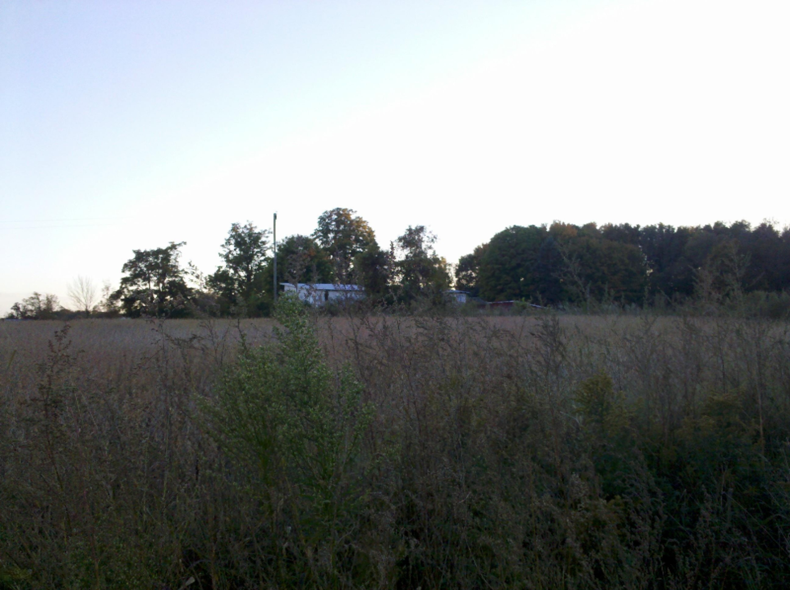 sisson_rd_looking_south-west