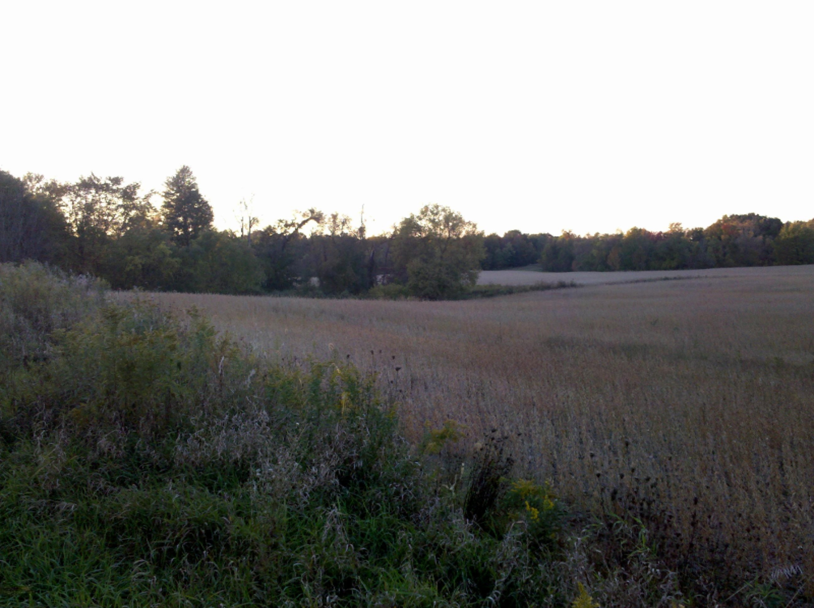sisson_rd_looking_west