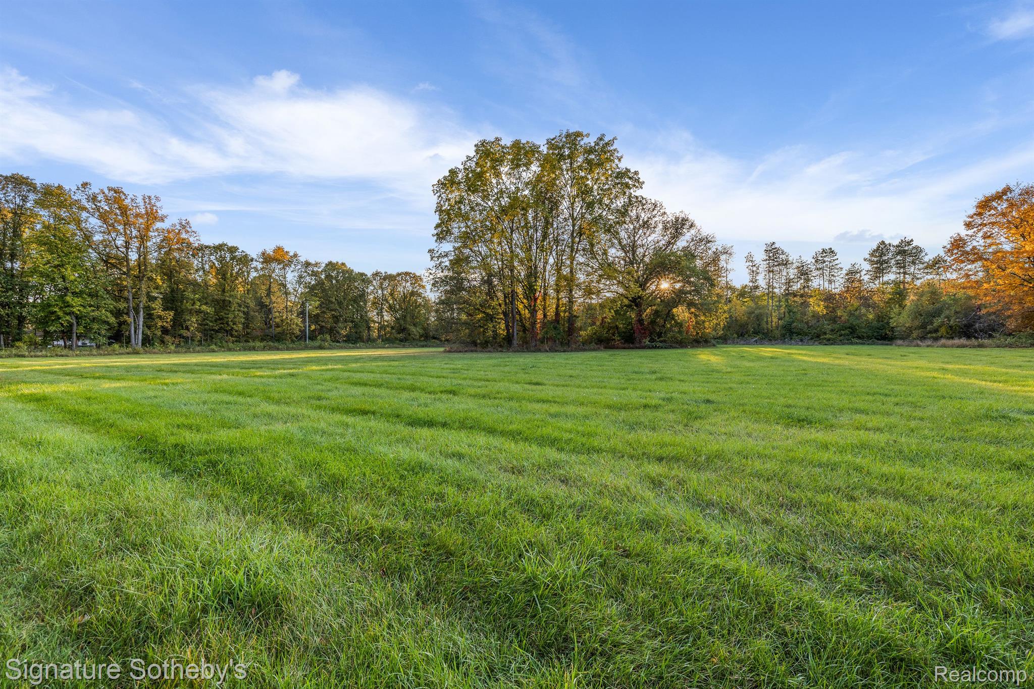 15155 Reid Road Romeo, MI 48065 - Photo 17 of 97 Gallery Image 17