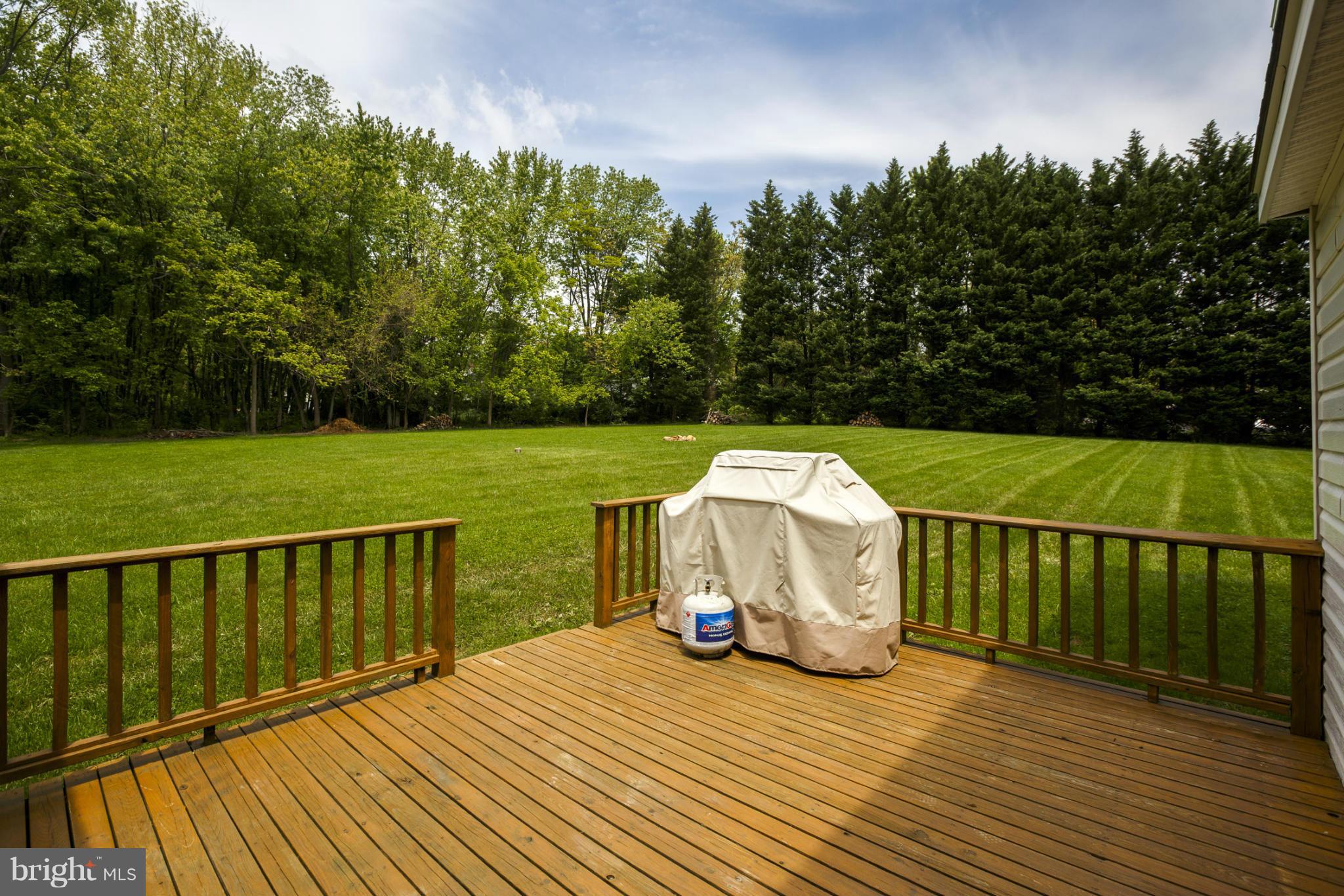 7246 Bowers Road Frederick, MD 21702 - Photo 5 of 30 a view of a deck with two chairs and a table