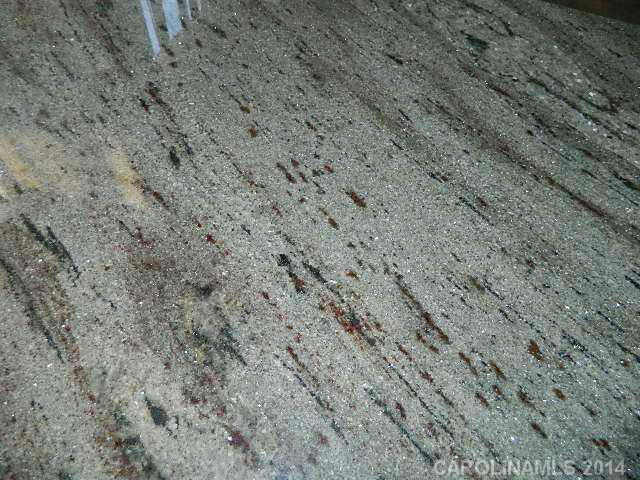 11805 Jim Sossoman Road Midland, NC 28107 - Photo 6 of 13 Gallery Image 6
