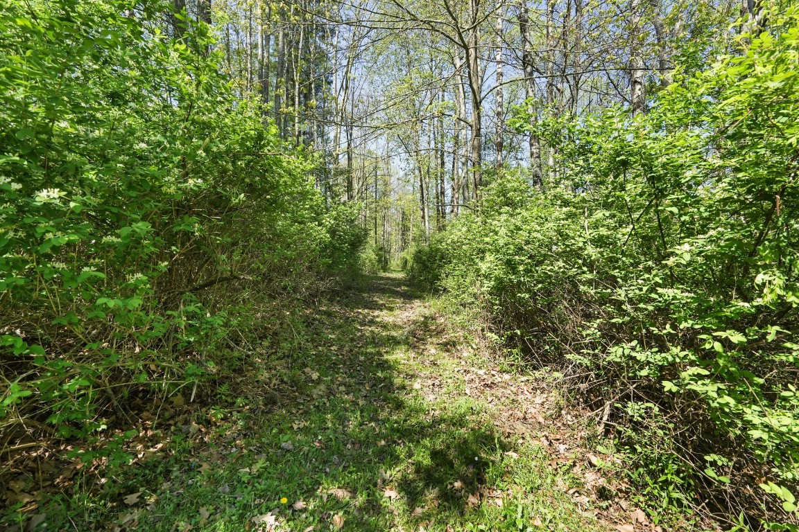 706 Forest Hill Road Apalachin, NY 13732 - Photo 40 of 45
