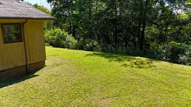 a view of back yard of the house