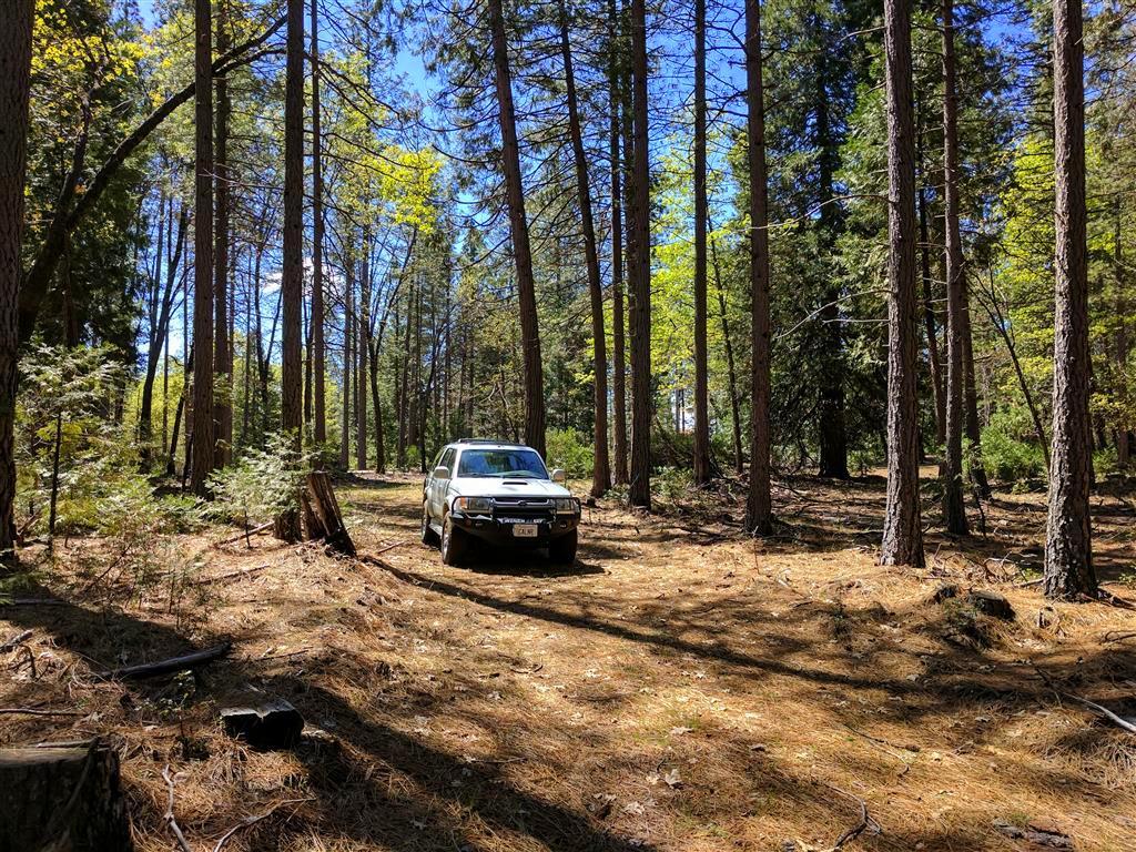 Doodlebug Lane Shingletown, CA 96088 - Photo 1 of 11 Doodlebug 25 Acres (2)