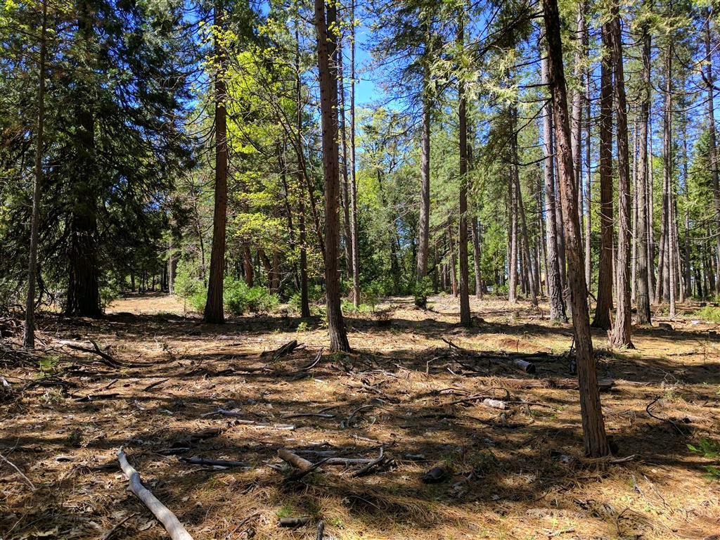 Doodlebug Lane Shingletown, CA 96088 - Photo 3 of 11 Doodlebug 25 Acres (1)