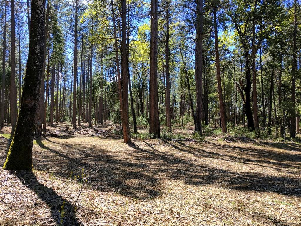 Doodlebug Lane Shingletown, CA 96088 - Photo 4 of 11 Doodlebug 25 Acres (3)