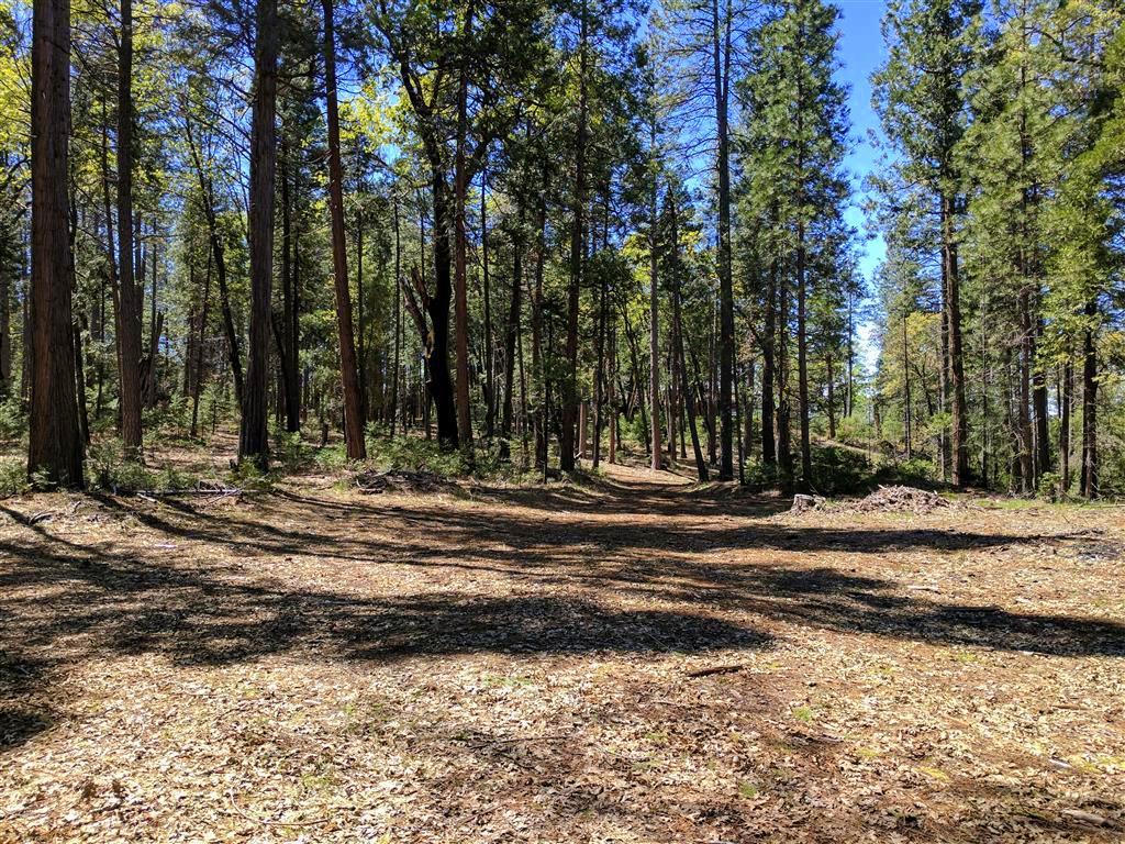 Doodlebug Lane Shingletown, CA 96088 - Photo 5 of 11 Doodlebug 25 Acres (4)