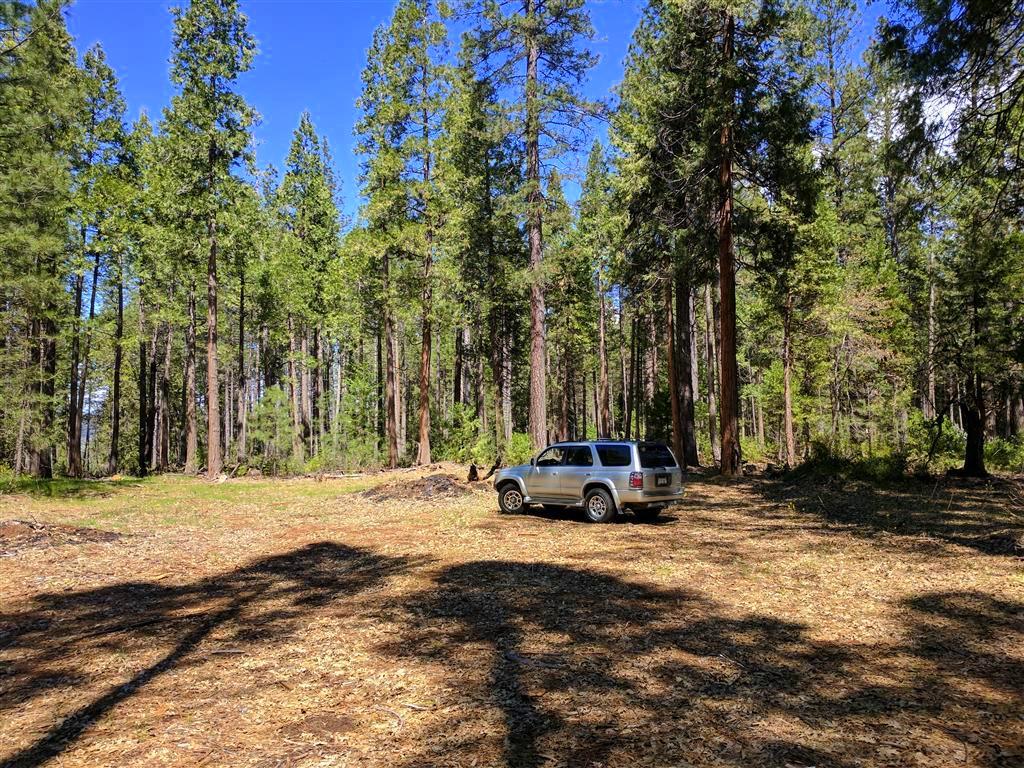 Doodlebug Lane Shingletown, CA 96088 - Photo 6 of 11 Doodlebug 25 Acres (5)