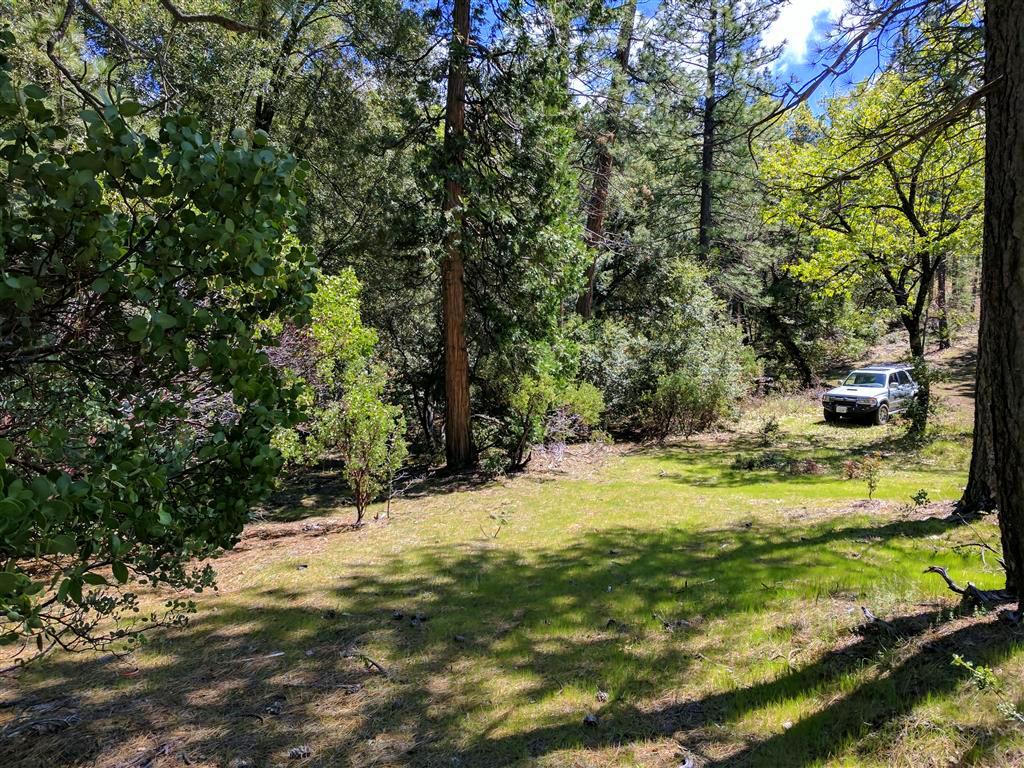 Doodlebug Lane Shingletown, CA 96088 - Photo 8 of 11 Doodlebug 25 Acres (7)