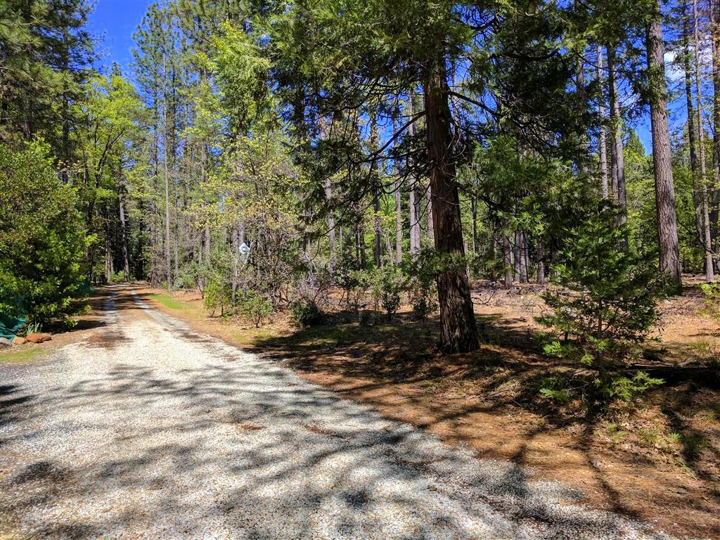 Doodlebug Lane Shingletown, CA 96088 - Photo 10 of 11 Doodlebug 25 Acres (9)
