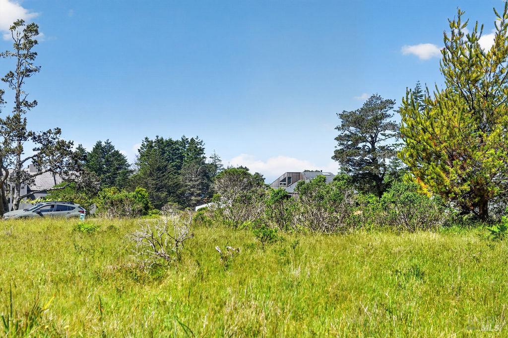 35604 Timber Ridge Road The Sea Ranch, CA 95497 - Photo 7 of 12