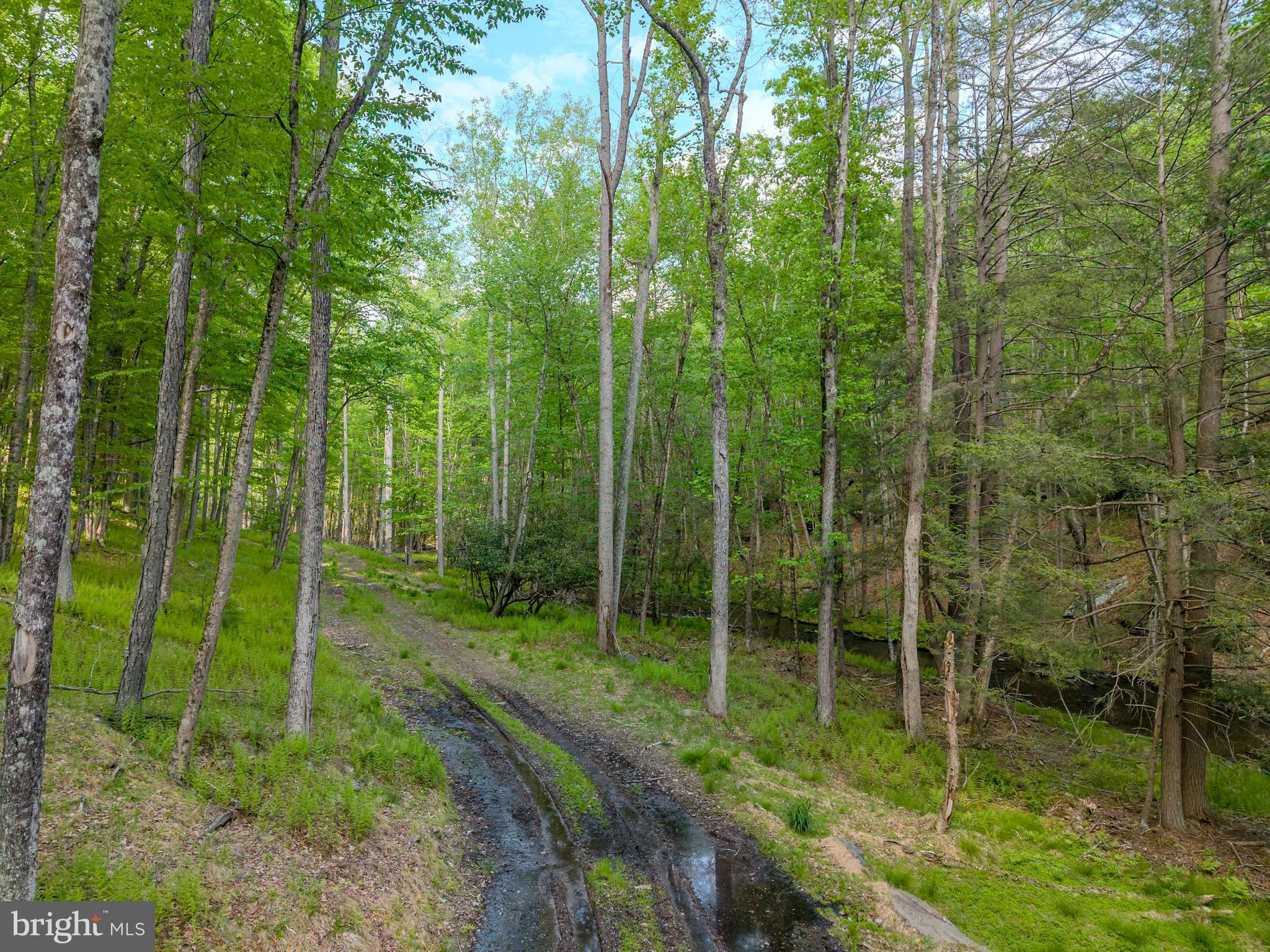 0 Cummins Hill Road Matamoras, PA 18336 - Photo 15 of 116