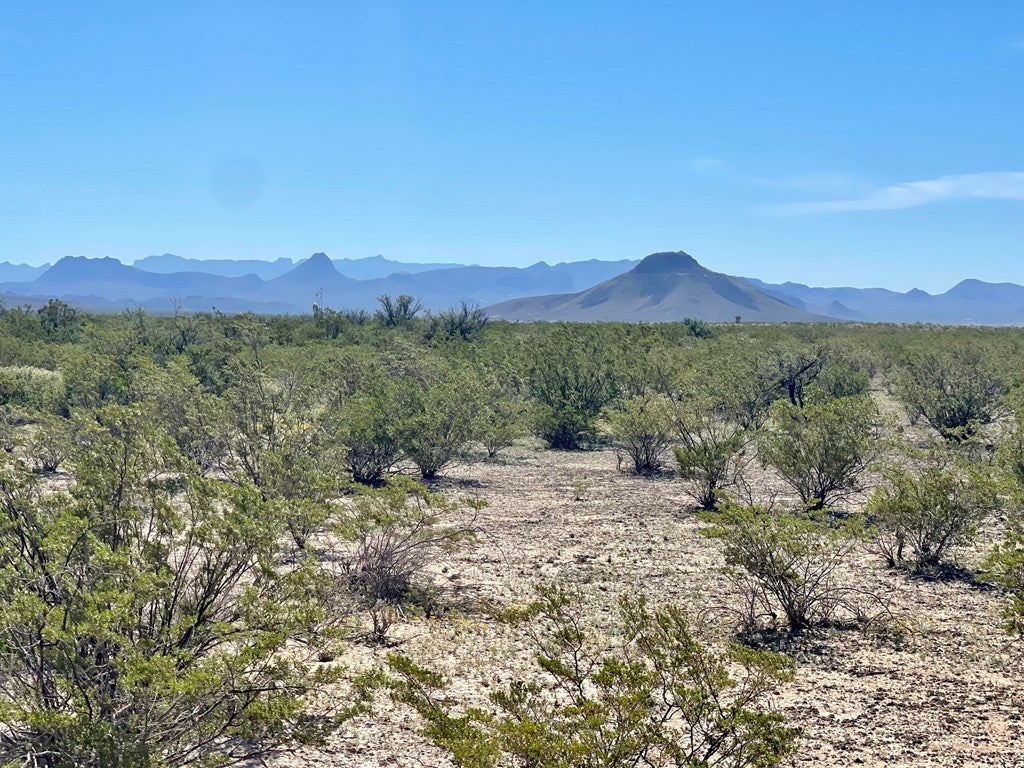 4464 Private Road Terlingua, TX 79852 - Photo 11 of 11 Gallery Image 11