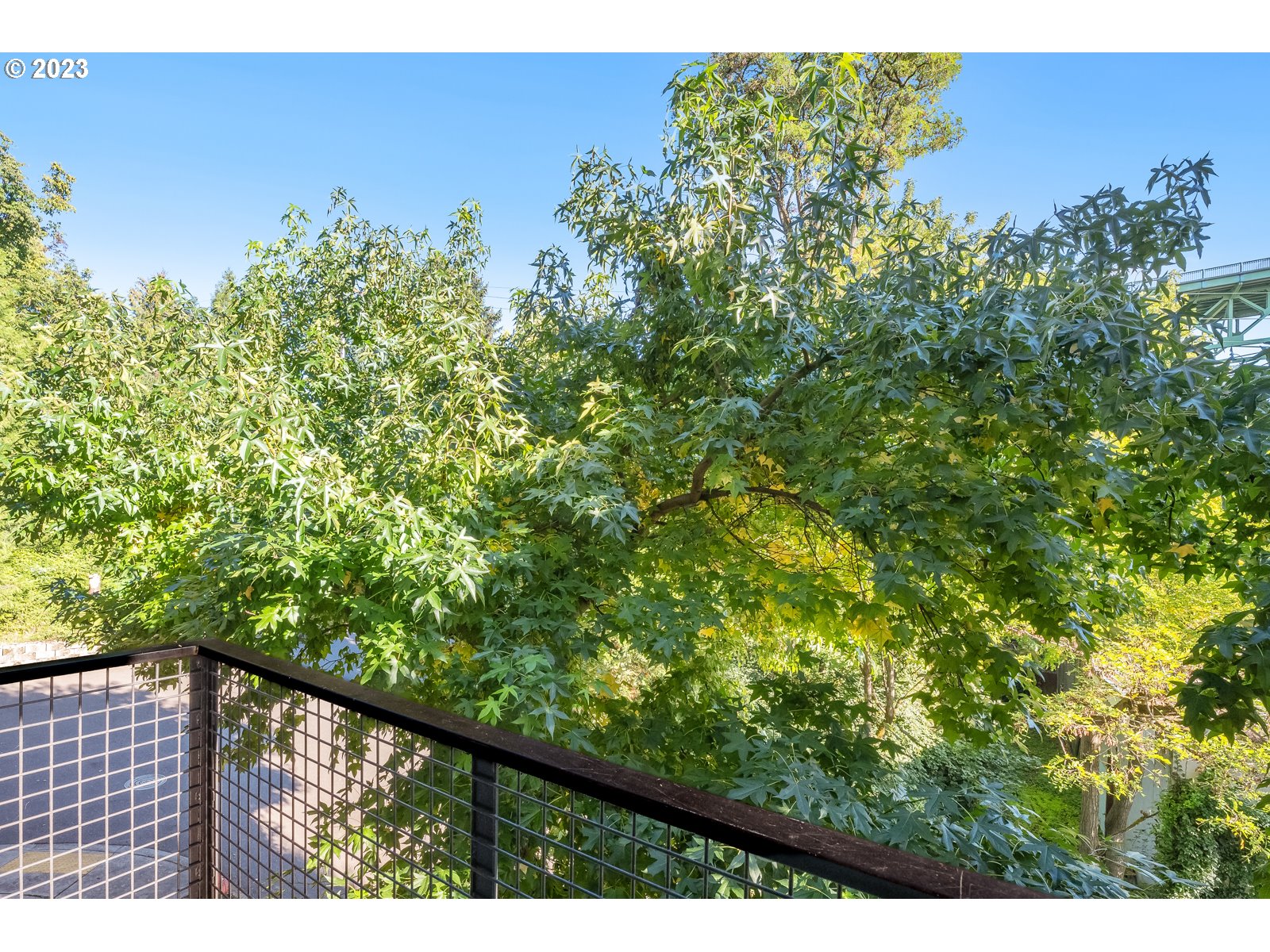 8712 North Decatur Street, Unit 201 Portland, OR 97203 - Photo 11 of 40 a view of a green yard