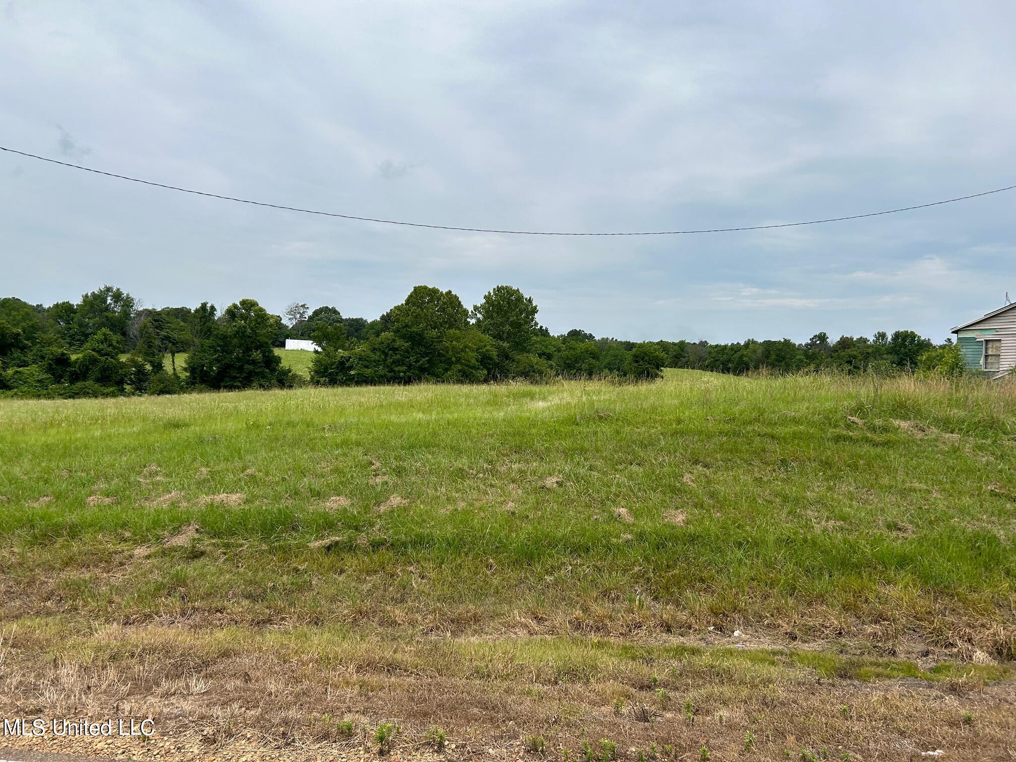 3 Sycamore Road Coldwater, MS 38618 - Photo 1 of 4 Land
