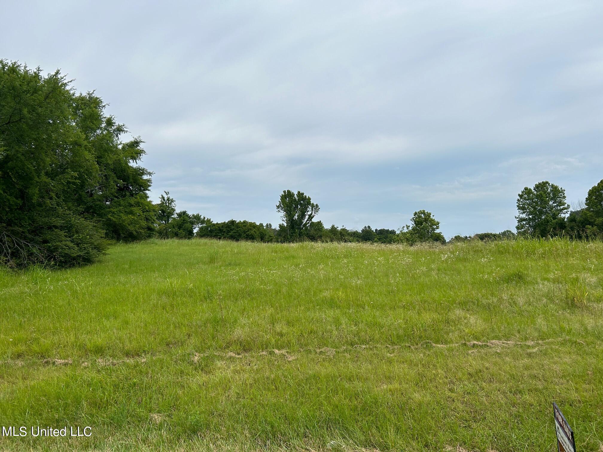 3 Sycamore Road Coldwater, MS 38618 - Photo 2 of 4 IMG_4953