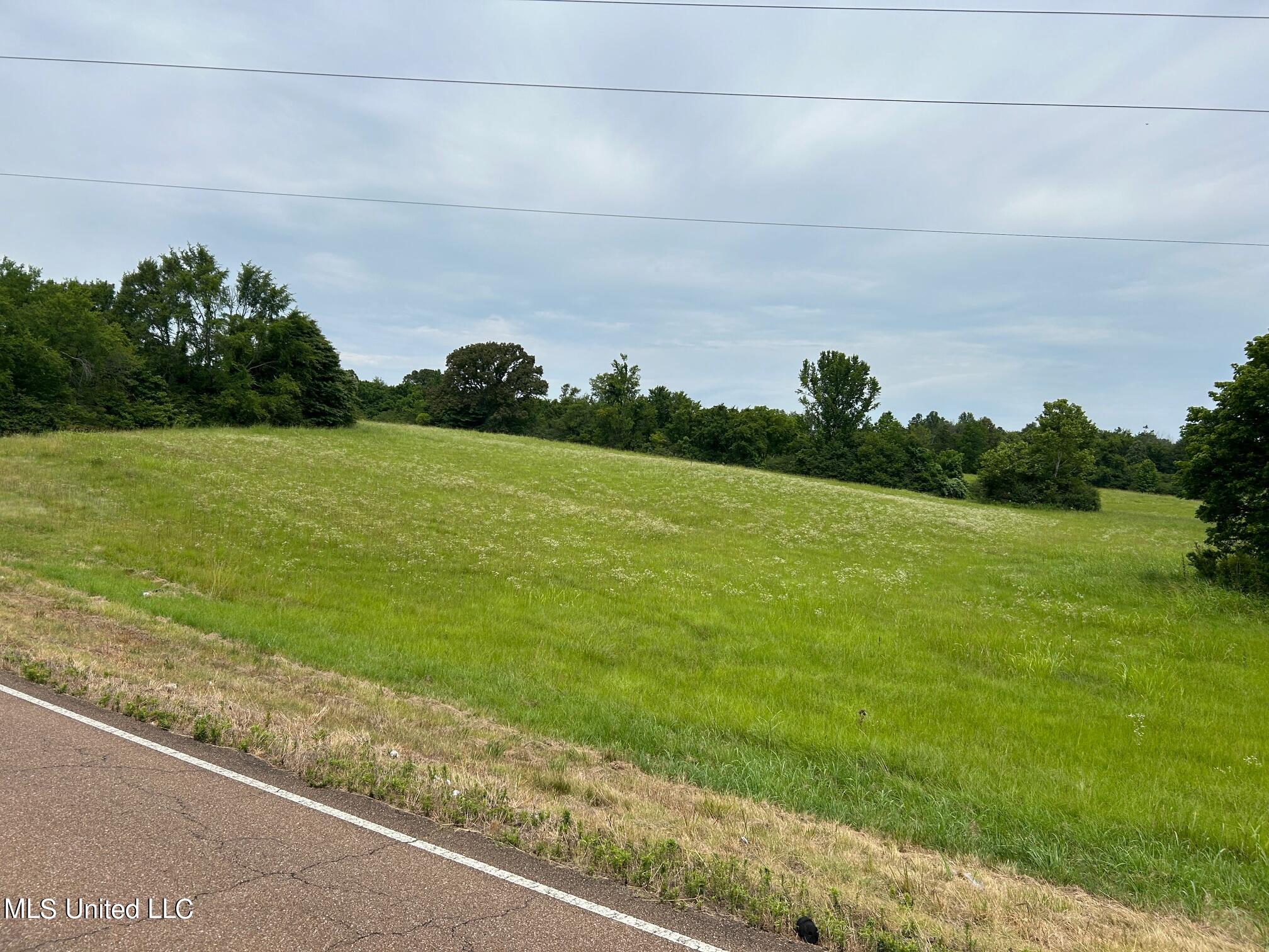 3 Sycamore Road Coldwater, MS 38618 - Photo 3 of 4 IMG_4954