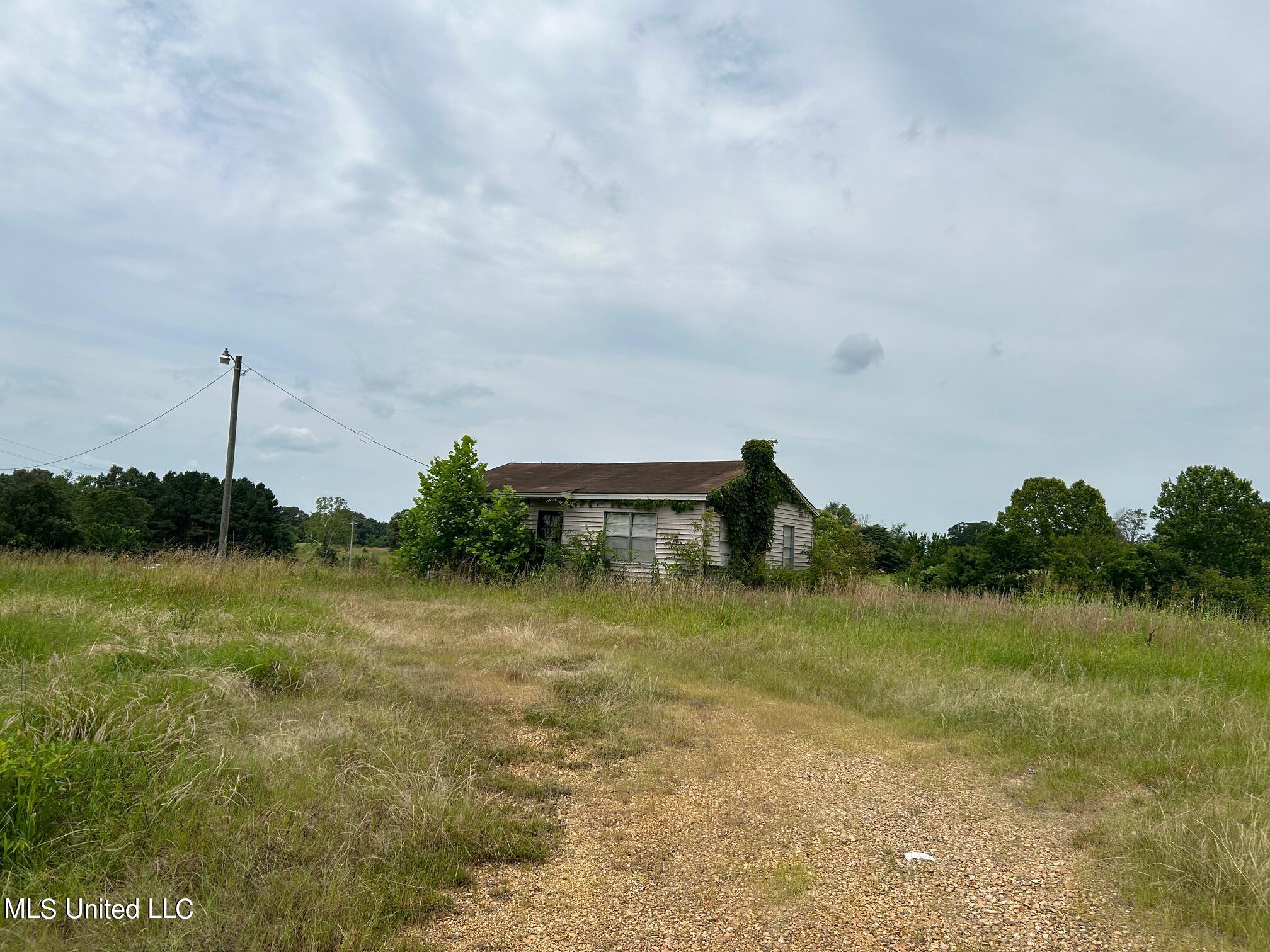 3 Sycamore Road Coldwater, MS 38618 - Photo 4 of 4 IMG_4956