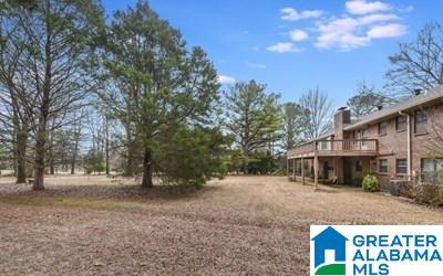 1000 Highway 107 Montevallo Al Montevallo, AL 35115 - Photo 5 of 32