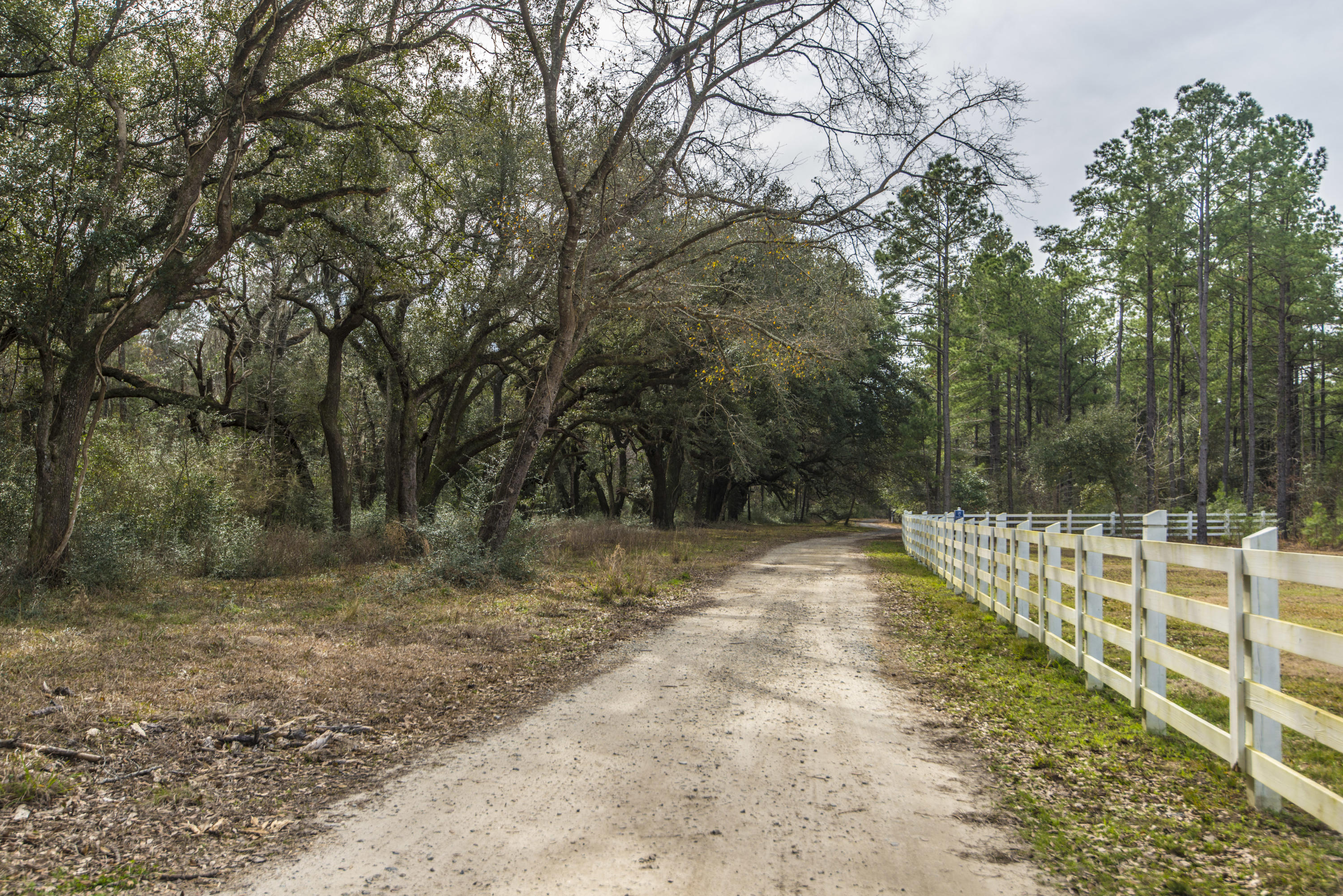 304 Ribbon Road Summerville, SC 29483 - Photo 45 of 45 trails