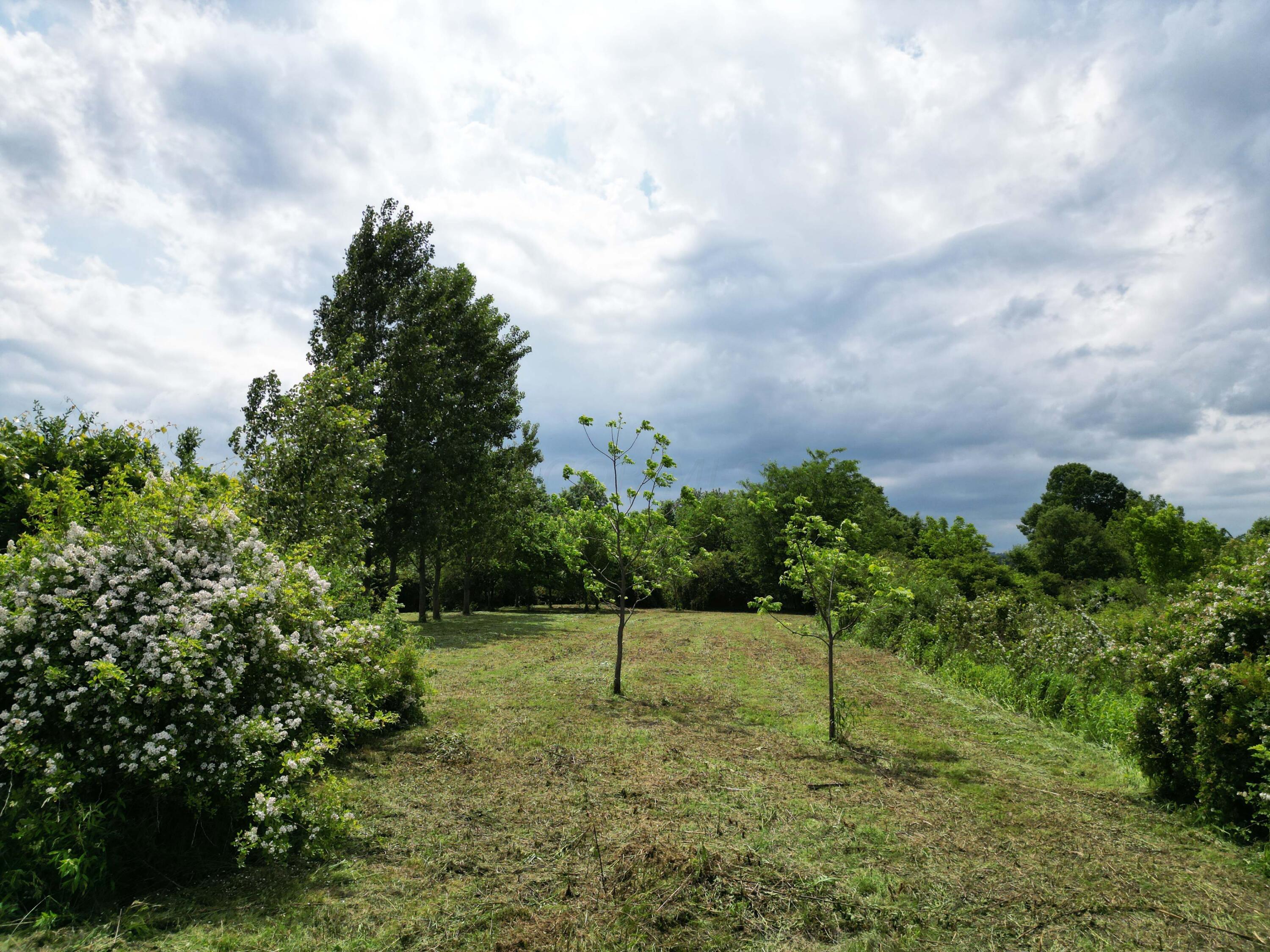 0 Schoolhouse Road Frazeysburg, OH 43822 - Photo 21 of 31 DJI_0584