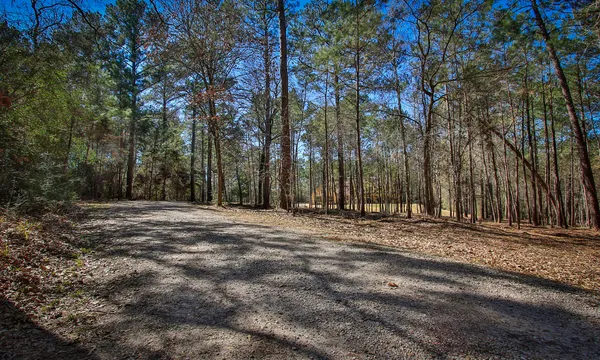 a view of outdoor space with trees