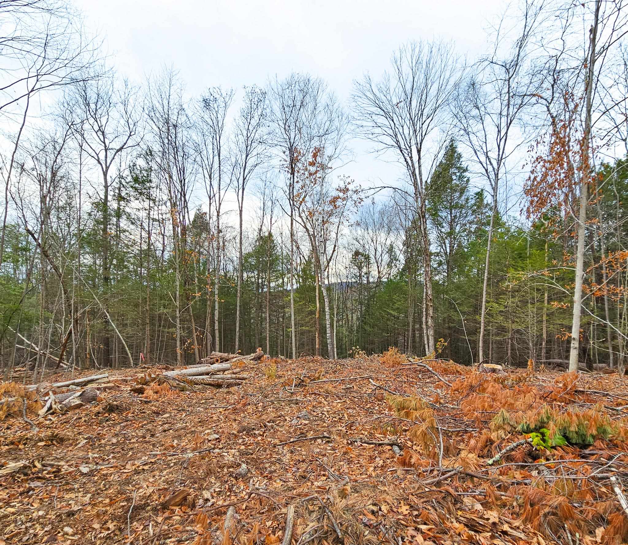 Lot 26-4 Plain Road Hinsdale, NH 03451 - Photo 19 of 28