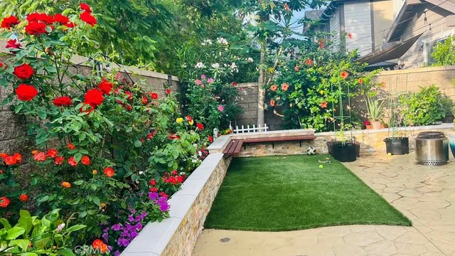 a view of a potted flower in a yard with swimming pool