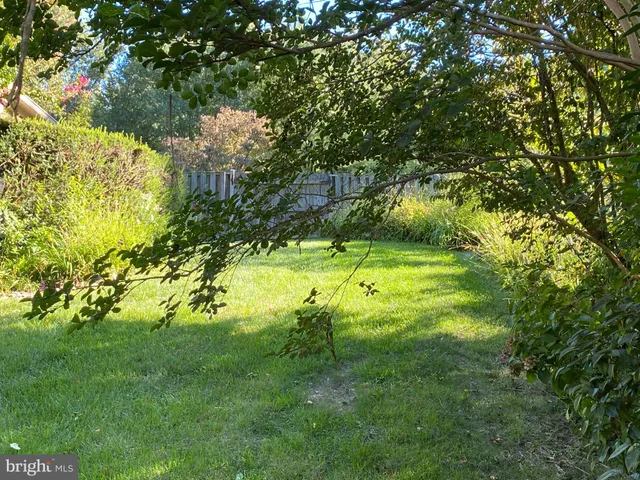 a view of a big yard with large trees