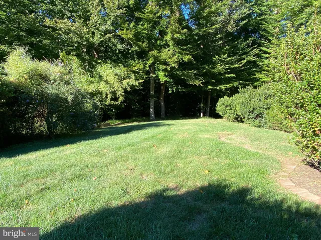 a view of yard with green space